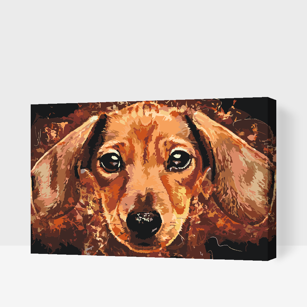 Malování podle čísel - Dachshund head